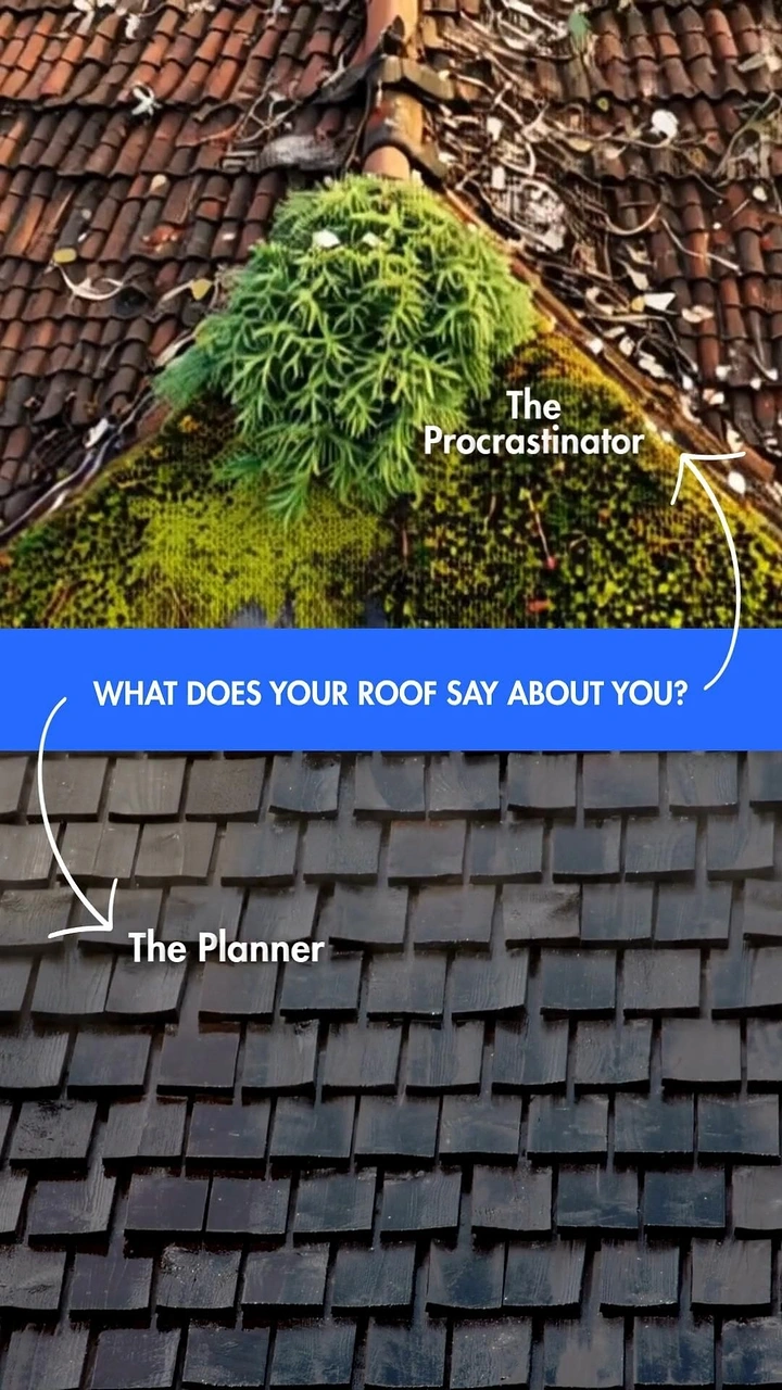 Roofing creative ad: Mossy vs tidy roof: procrastinator vs planner