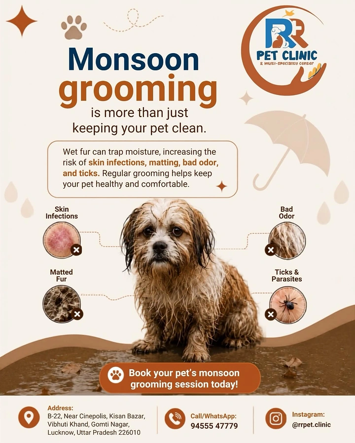 Pet Grooming creative ad: Monsoon tie-in: wet dog, umbrella, risks