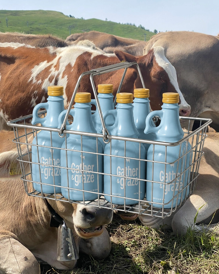 Dairy Brands creative ad: Cow carrying its own milk basket