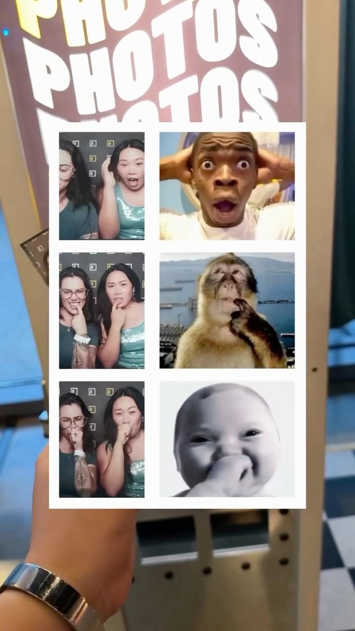 Story: Playful animal-photo booth composition