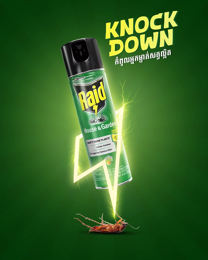 Pest Control creative ad: Lightning bolt 'Knock Down' roach punch