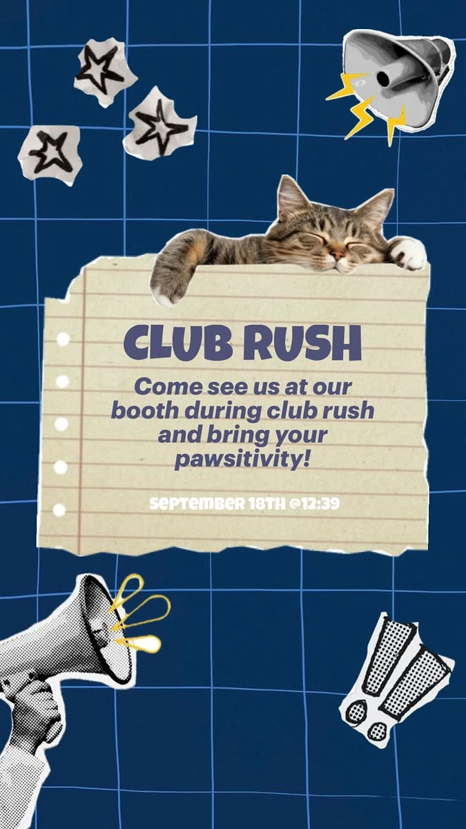 Schools & School Admissions creative ad: Space-themed club rush visual direction