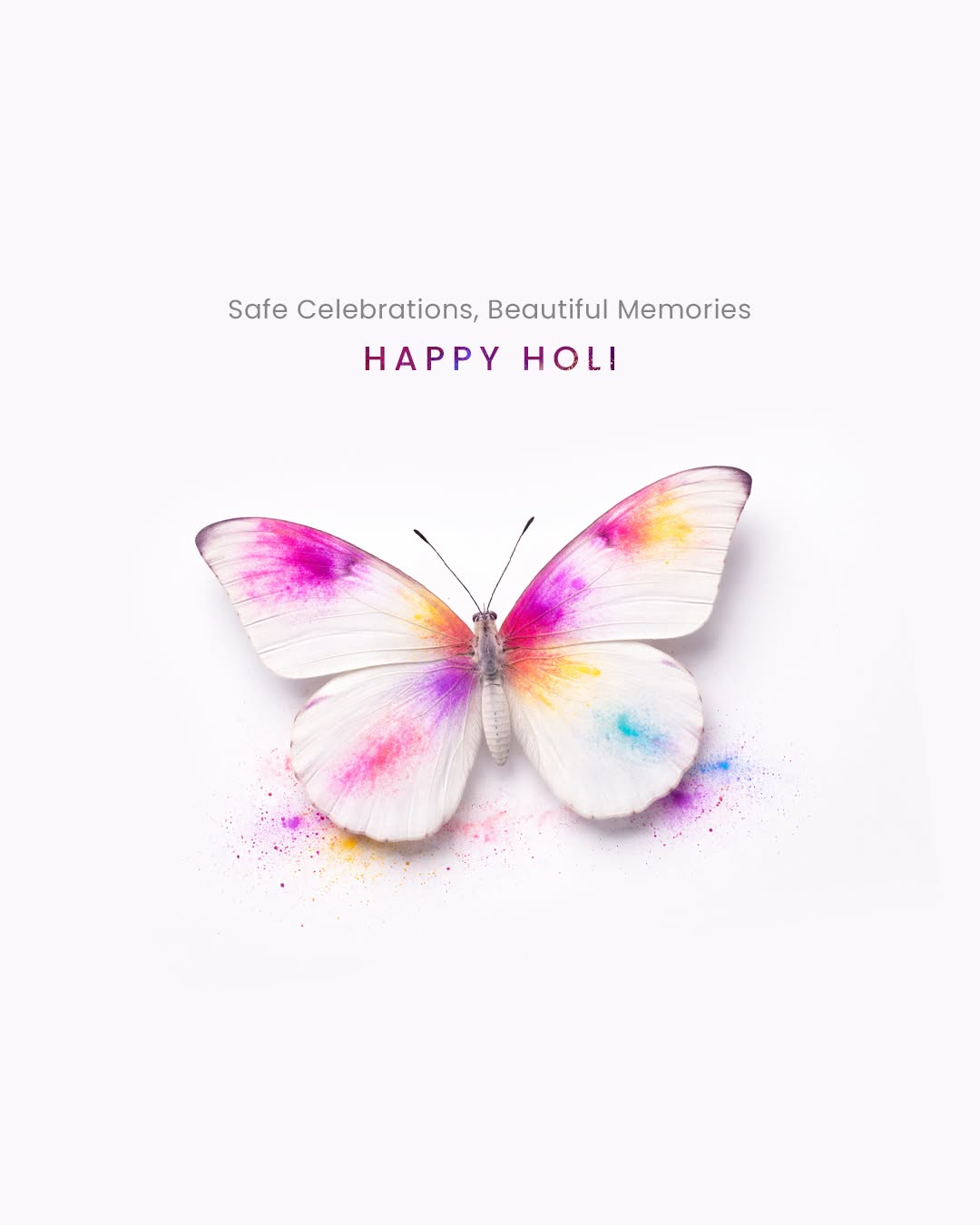 White butterfly dusted with Holi colour powder