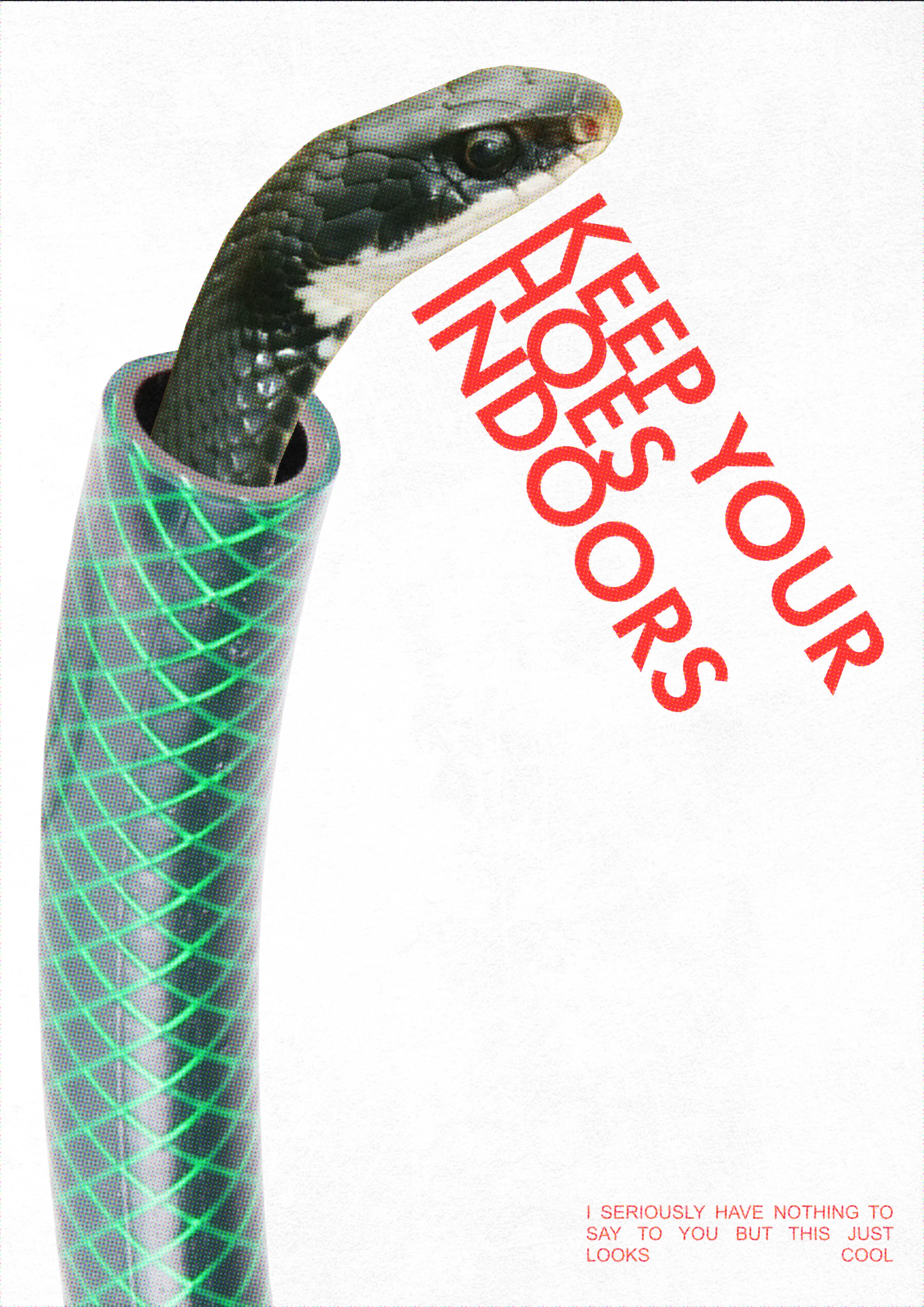 Story: Snake hidden inside hose with witty copy