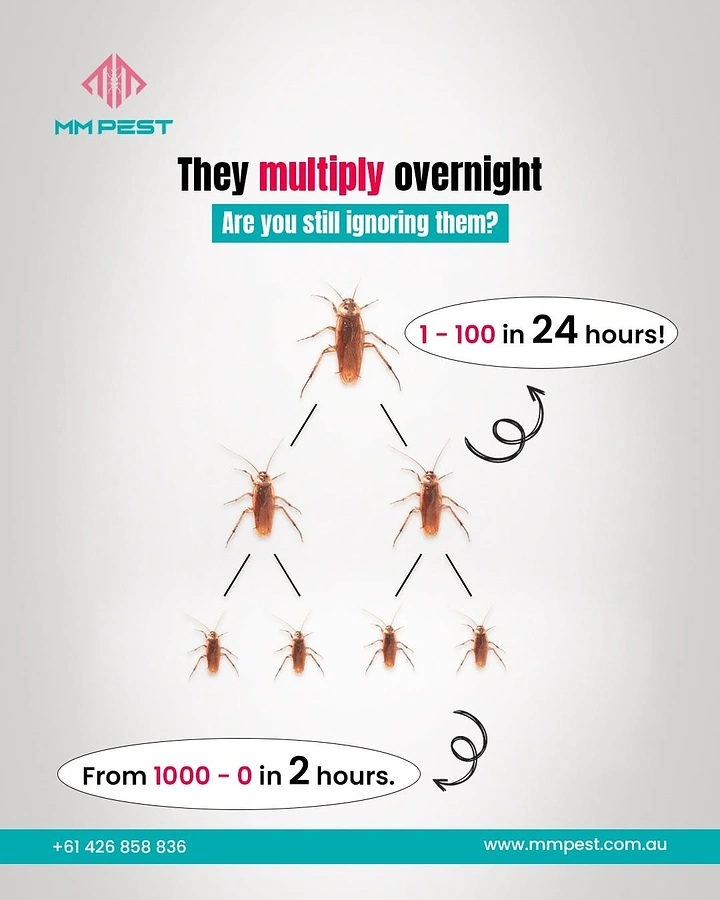 Pest Control creative ad: Cockroach family tree shows multiplying pests