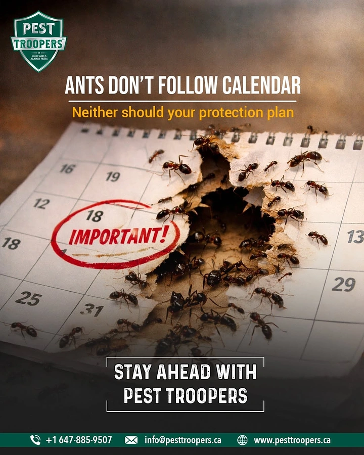 Pest Control creative ad: Ants chewing through calendar, witty headline