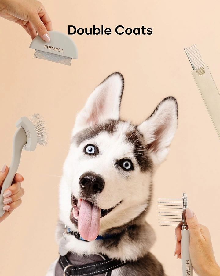 Pet Grooming creative ad: Grooming tools in hands frame happy husky