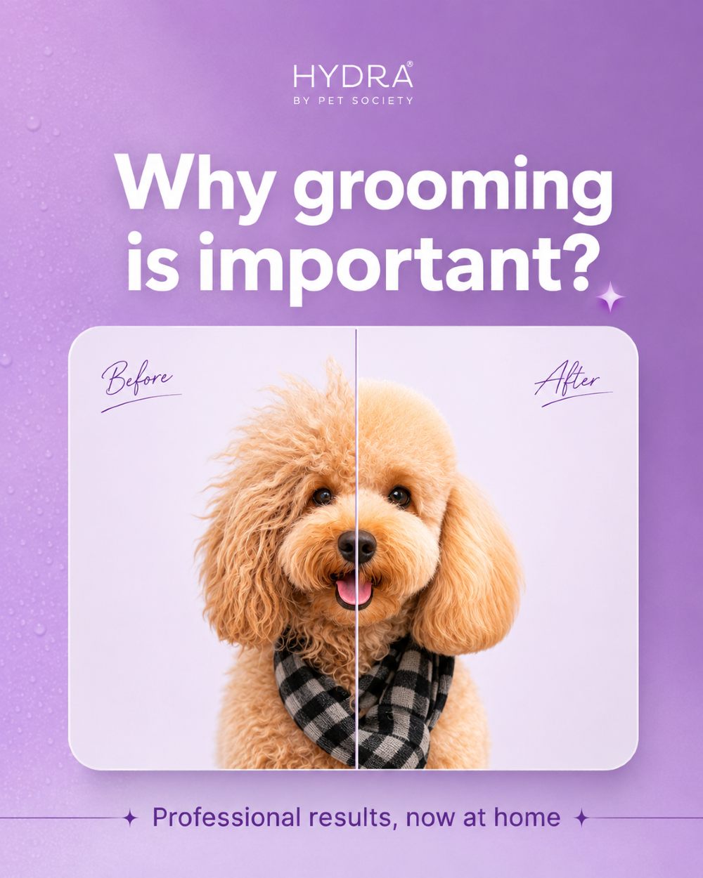 Instagram post: Split-face before/after poodle