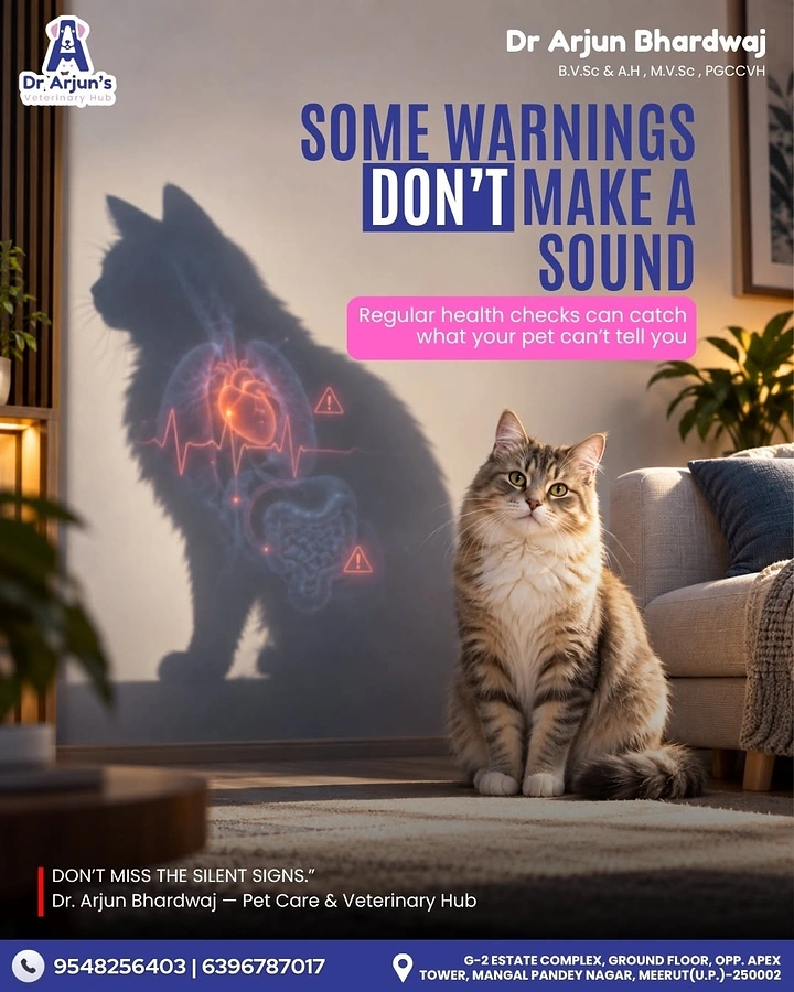 Creative ad: Cat sitting in a living room, its shadow revealing glowing organs