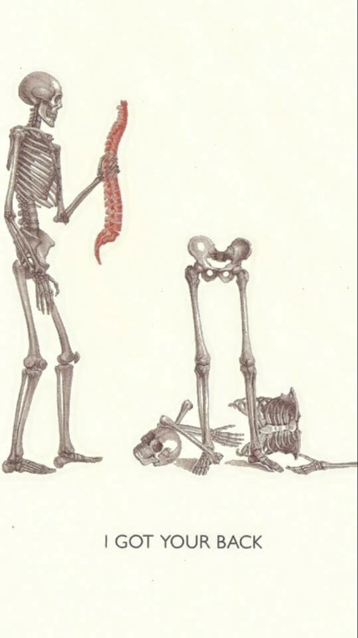 Physiotherapy creative ad: A standing skeleton supporting another skeleton’s spine