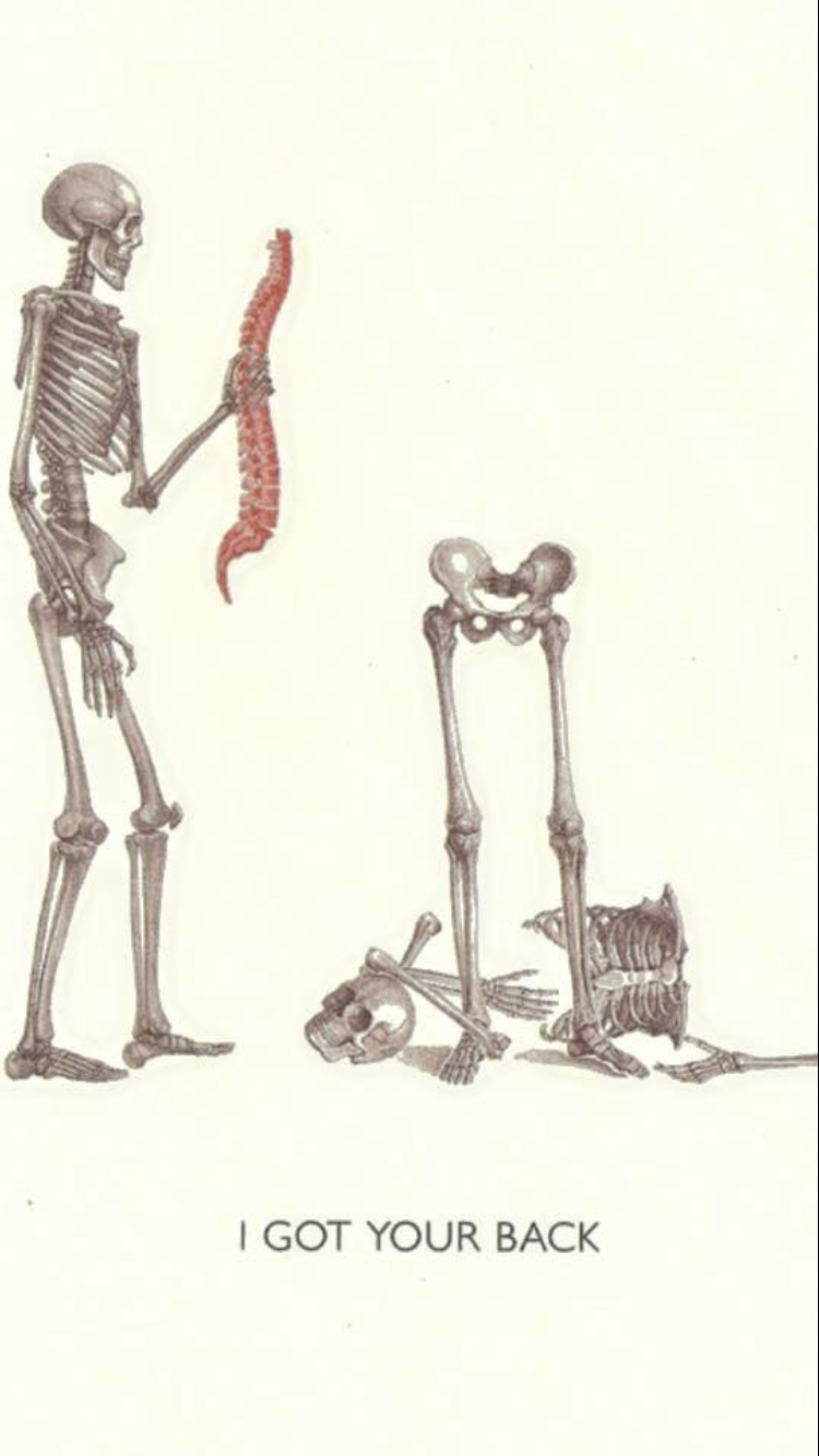 Poster: A standing skeleton supporting another skeleton’s spine