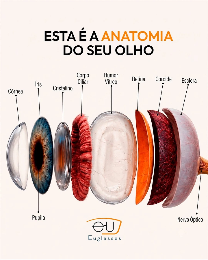 Opticians & Eye Care creative ad: Exploded eye anatomy layers, clean and striking