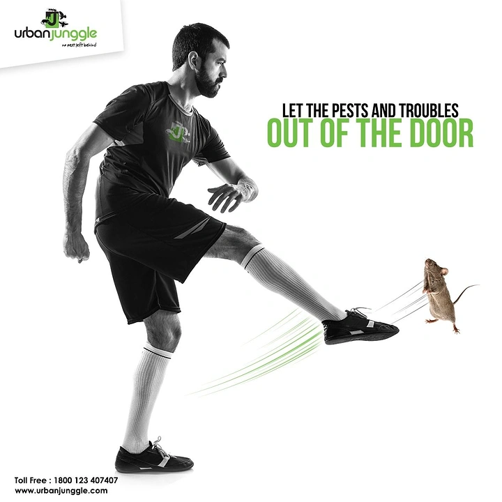 Pest Control creative ad: Man literally kicking mouse out the door