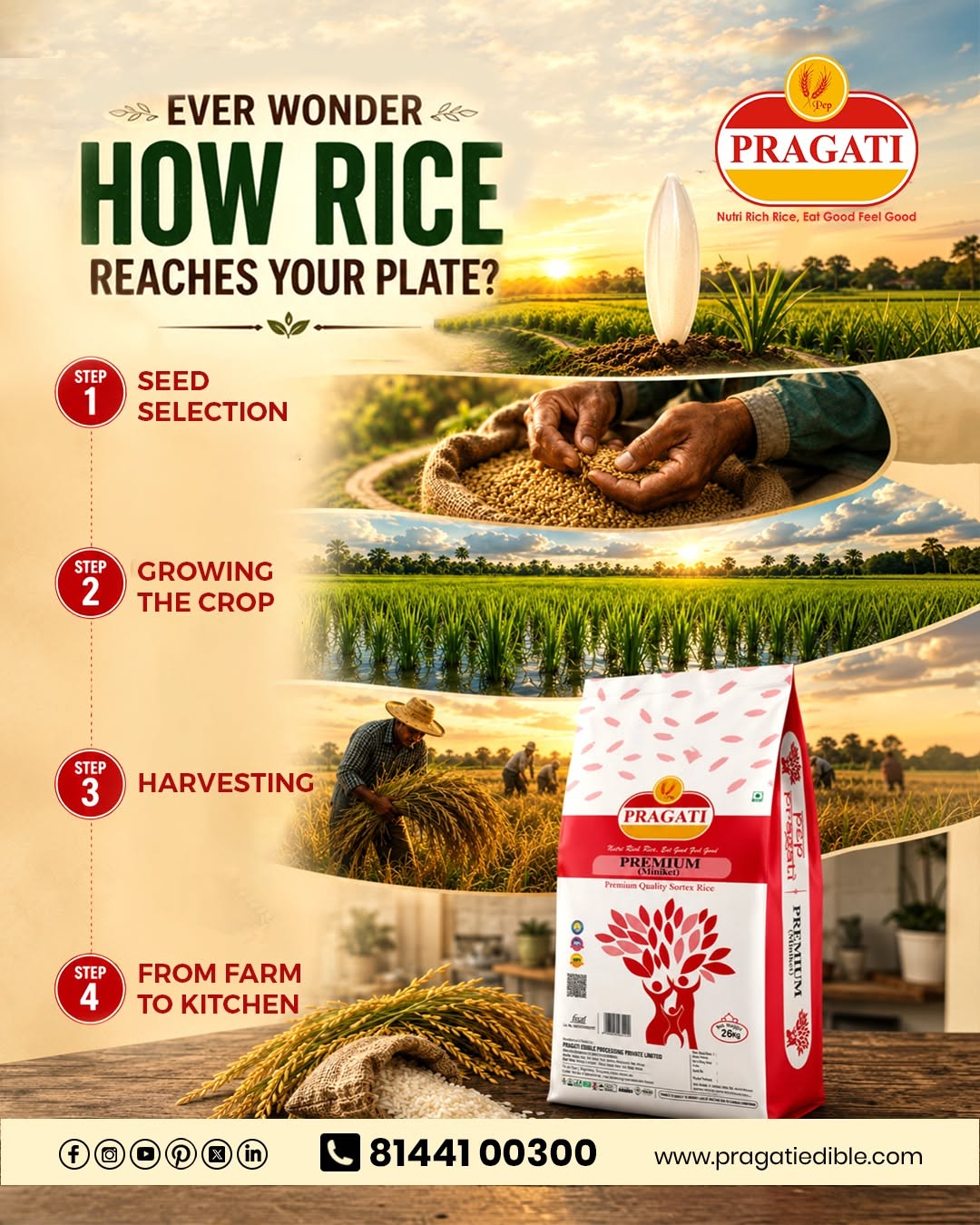 Instagram post: Farm-to-kitchen rice journey with product pack