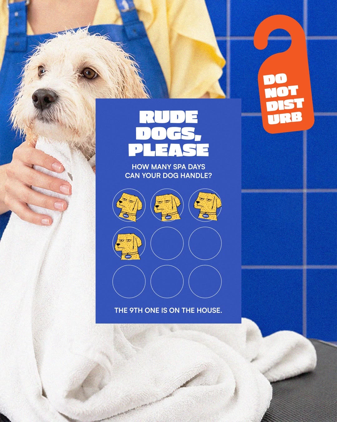 Carousel: Blue cube sign on a pole showing a grumpy yellow cartoon dog, slide 5