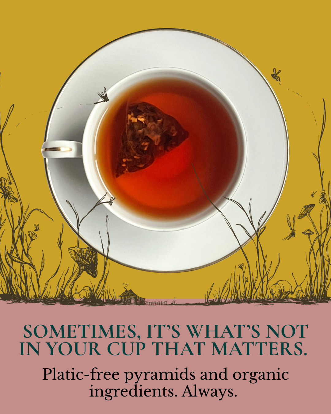 Instagram post: Plastic-free message, cup framed by grass illustration