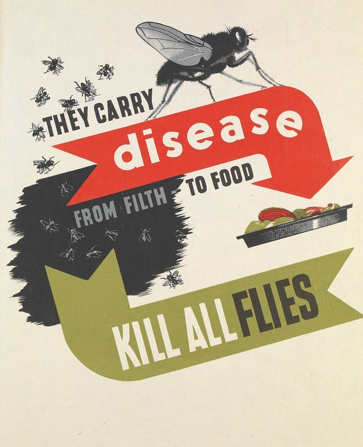 Creative ad: Large housefly perched on a red arrow ribbon pointing to food