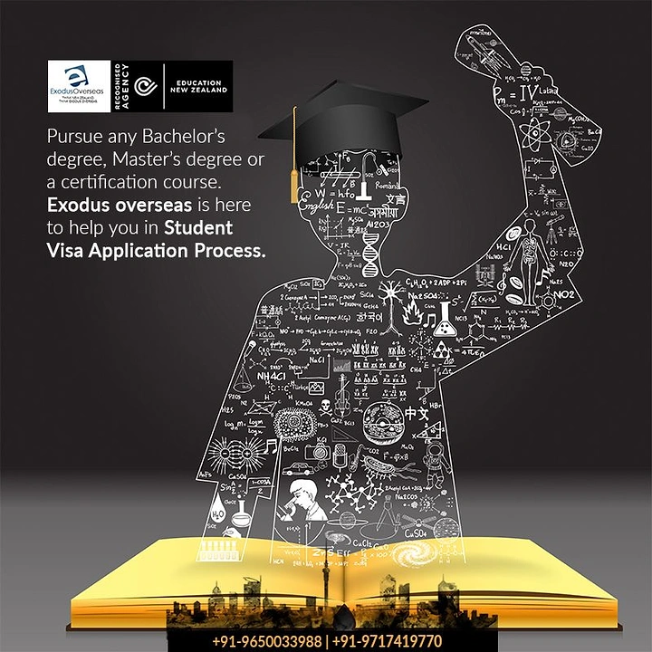 Universities & Colleges creative ad: Brain silhouette visualizes academic pathways