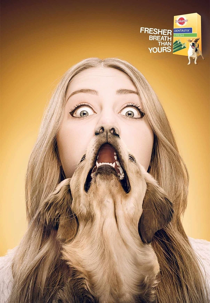 Pets creative ad: Woman's face merged with open-mouthed golden retriever