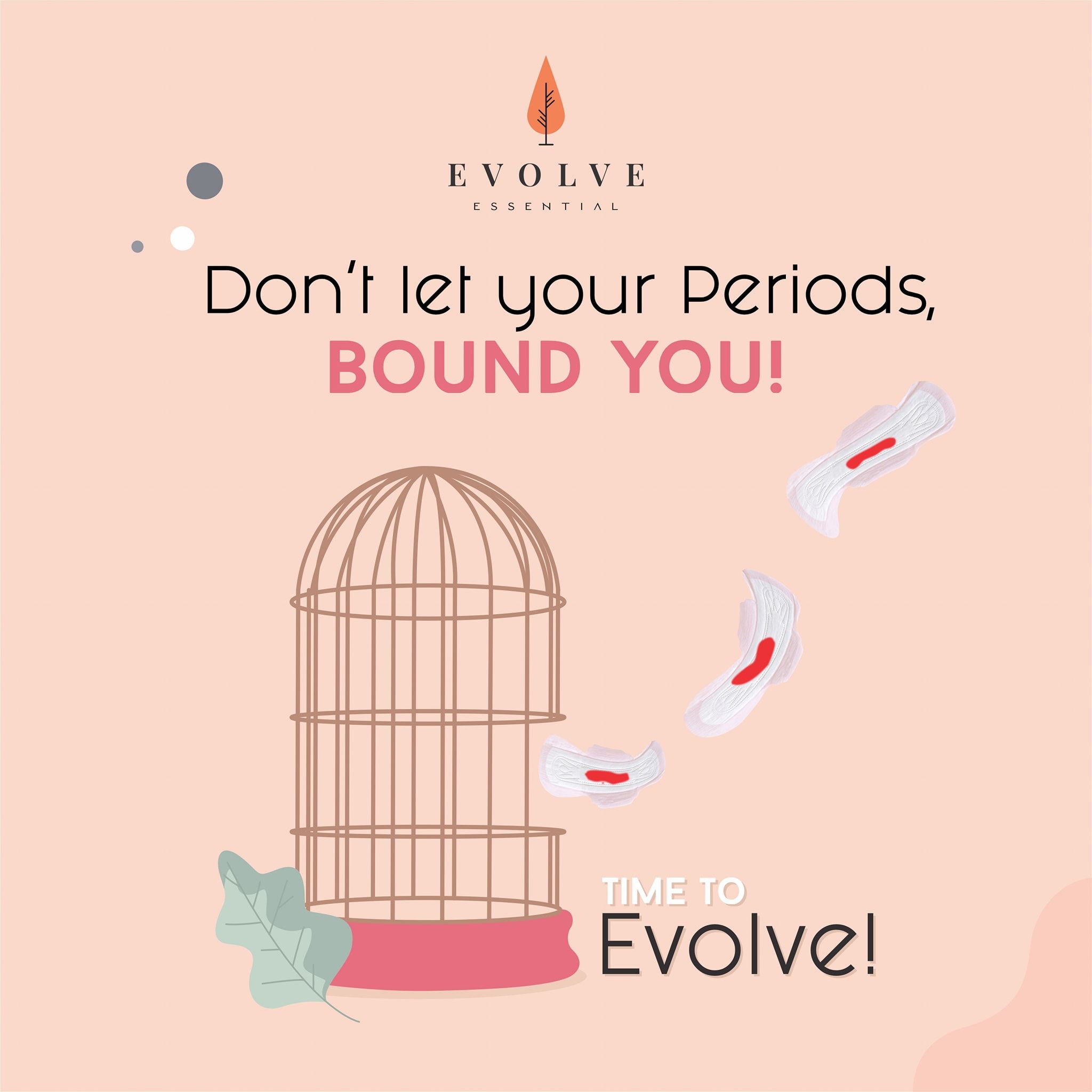 Instagram post: Birdcage metaphor for period freedom