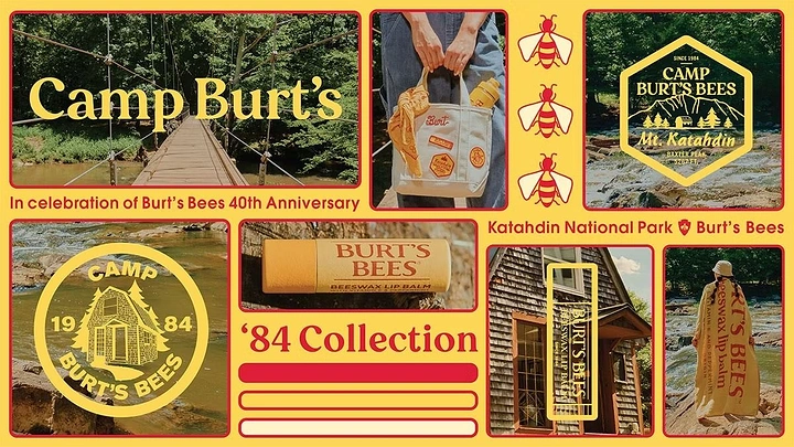 Summer Camps & Kids Activities creative ad: Camp-themed archival product collection system