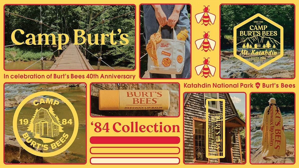 Banner: Camp-themed archival product collection system