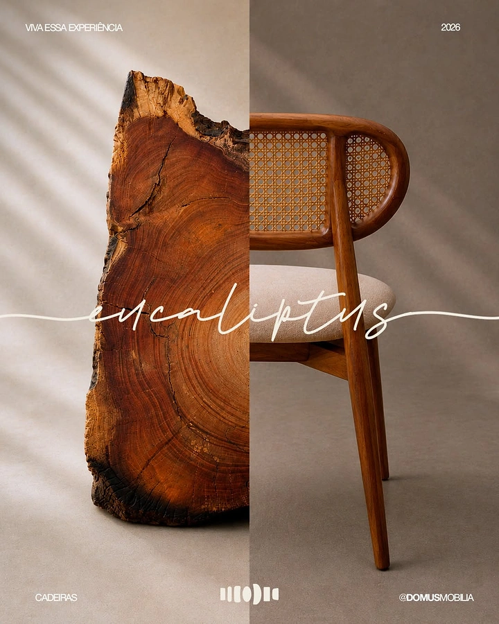 Home Decor creative ad: Raw eucalyptus wood slab merging into a finished cane-back chair