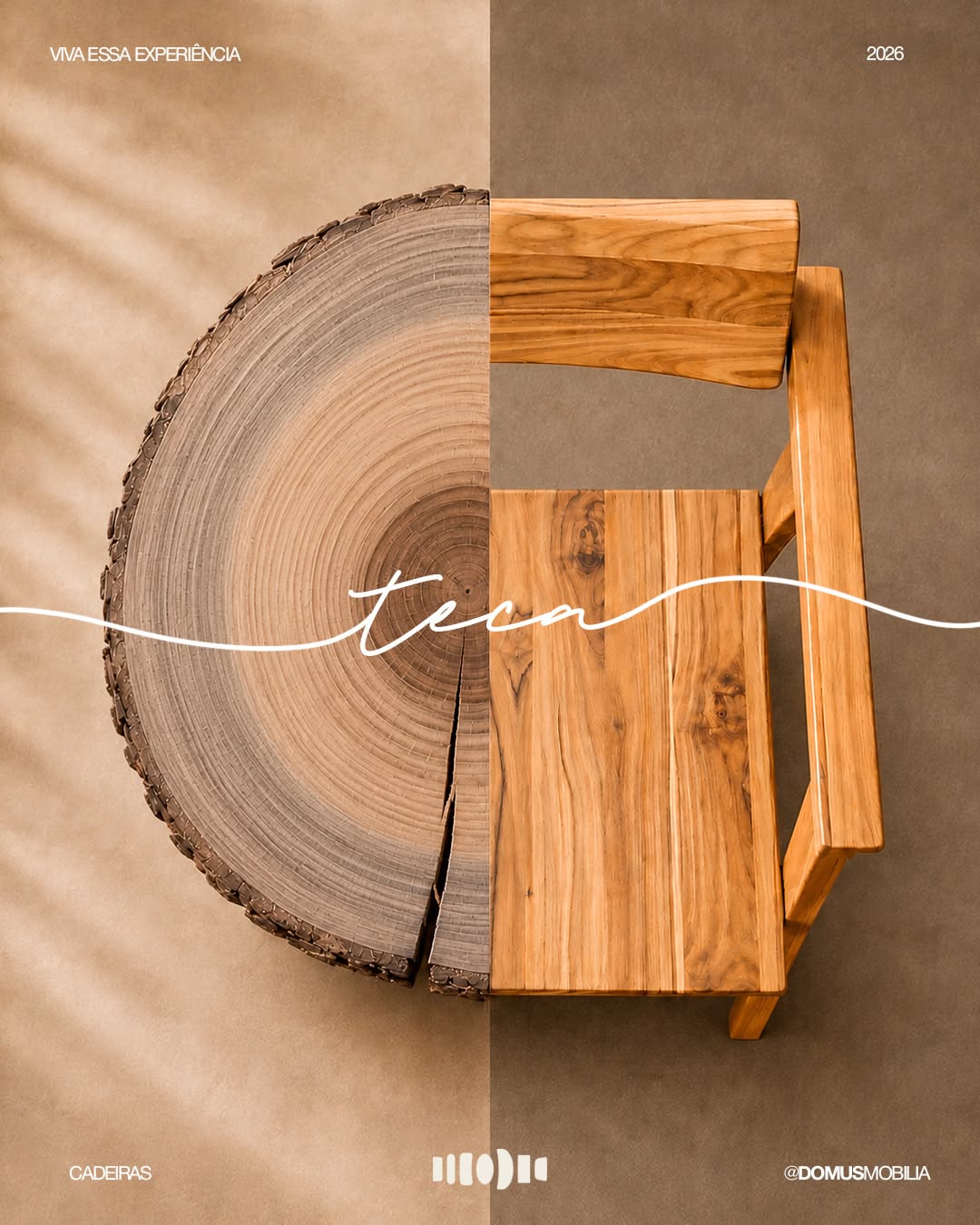 Carousel: Raw eucalyptus wood slab merging into a finished cane-back chair, slide 2