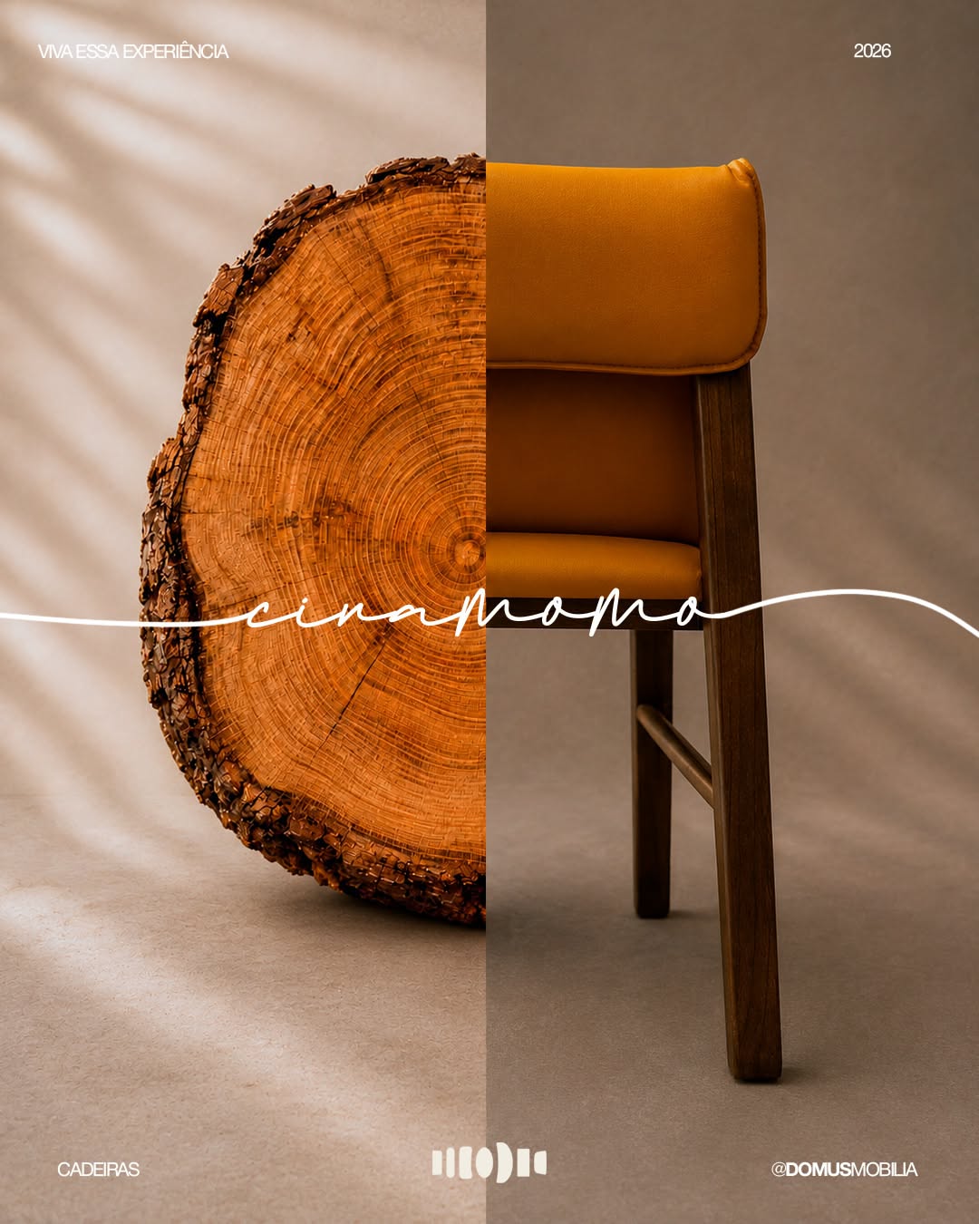 Carousel: Raw eucalyptus wood slab merging into a finished cane-back chair, slide 3