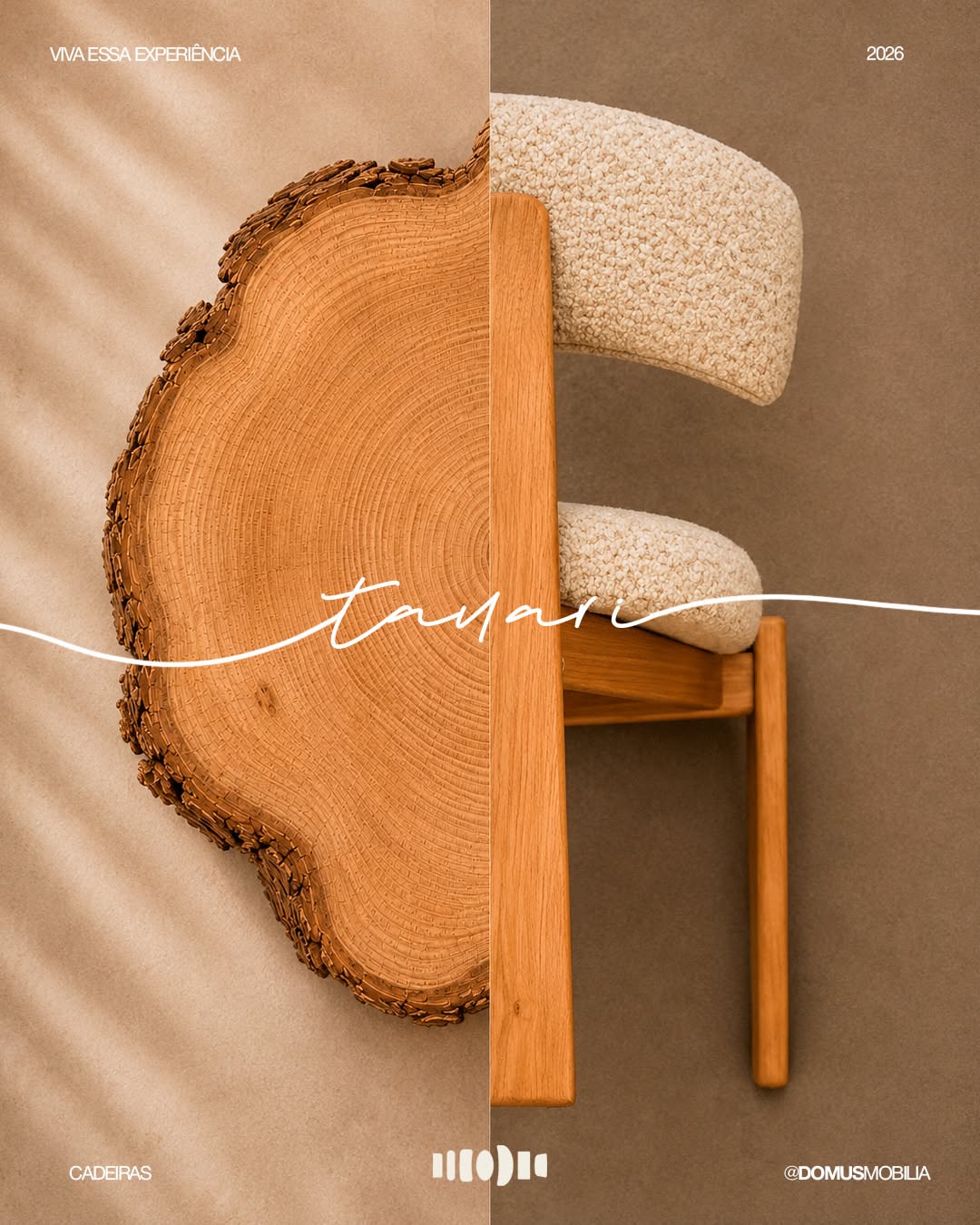 Carousel: Raw eucalyptus wood slab merging into a finished cane-back chair, slide 4