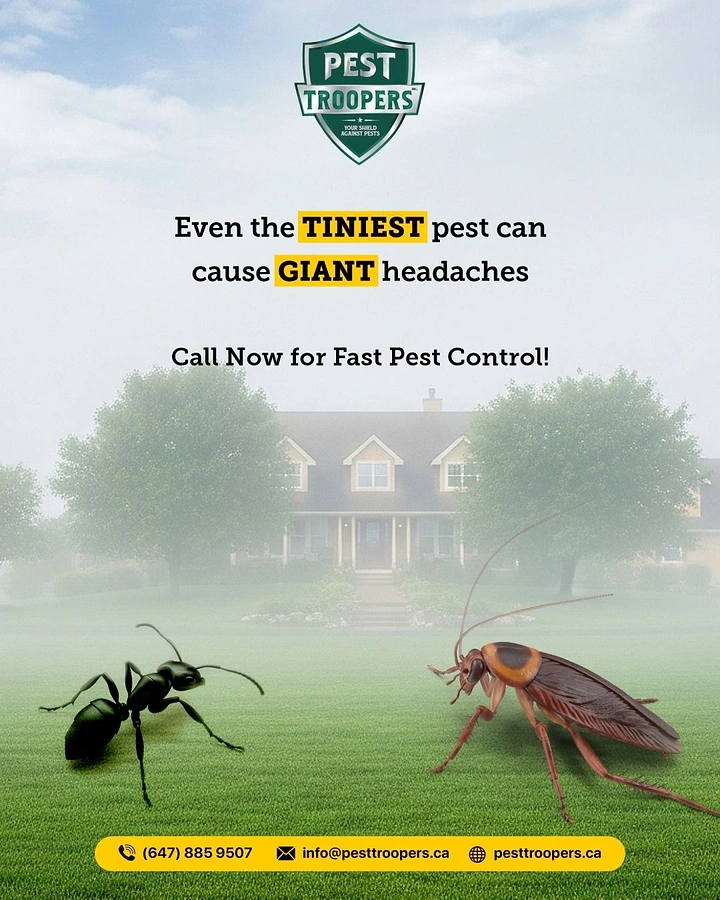 Pest Control creative ad: Giant pests loom over house, scale pun