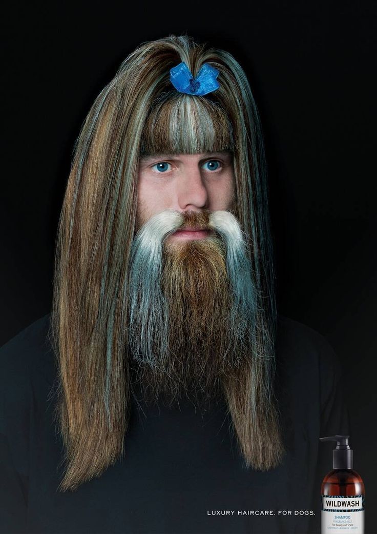 Poster: Man styled like a groomed long-haired dog with a blue bow topknot