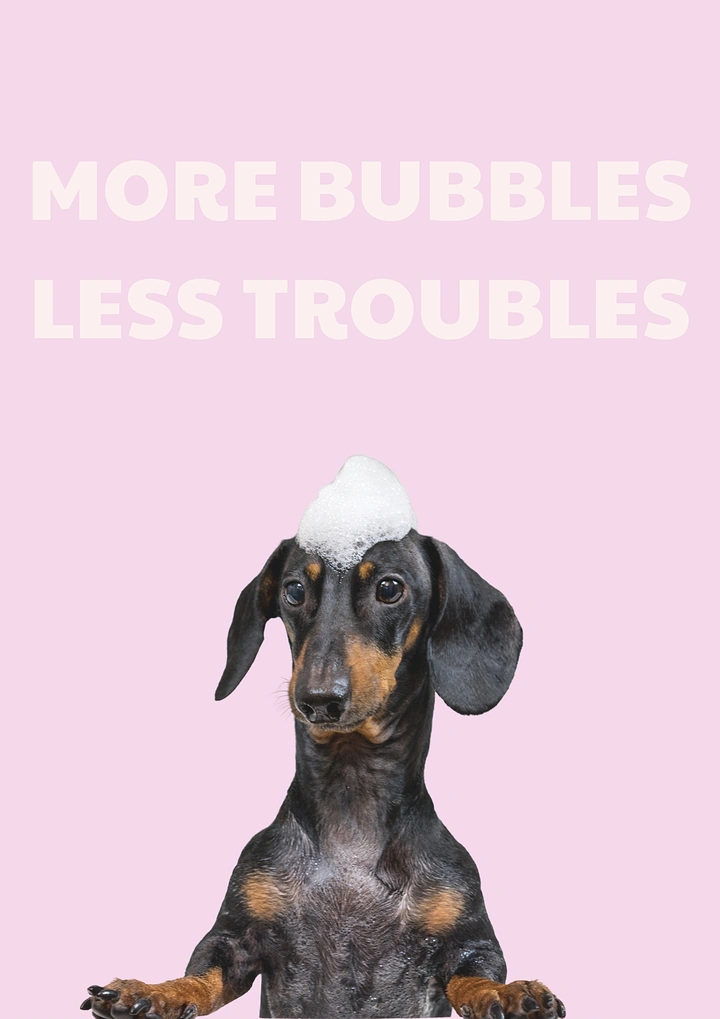 Pet Grooming creative ad: Bubble hat dachshund, rhyming bubbles copy
