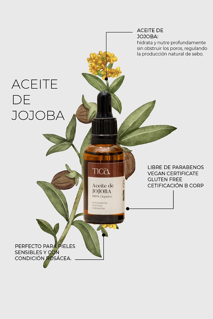 Organic & Farm Produce creative ad: Amber dropper bottle over a watercolour jojoba plant