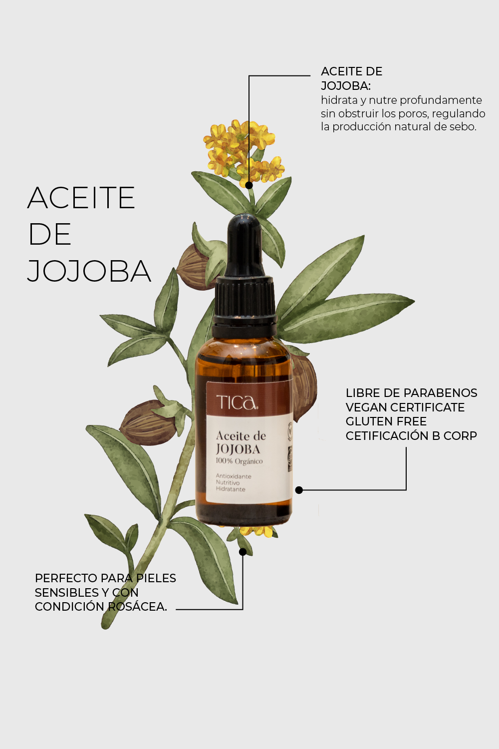 Poster: Amber dropper bottle over a watercolour jojoba plant