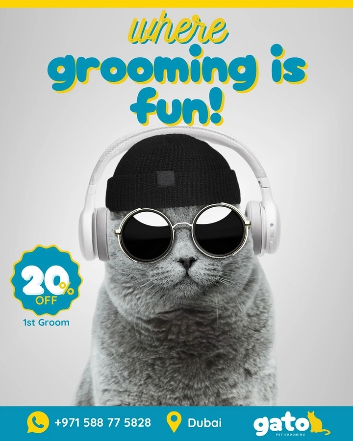 Pet Grooming creative ad: Cool cat in shades: grooming is fun