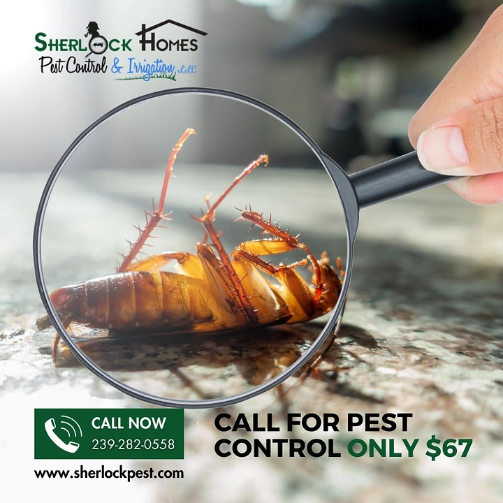 Pest Control creative ad: Sherlock magnifier inspecting dead cockroach