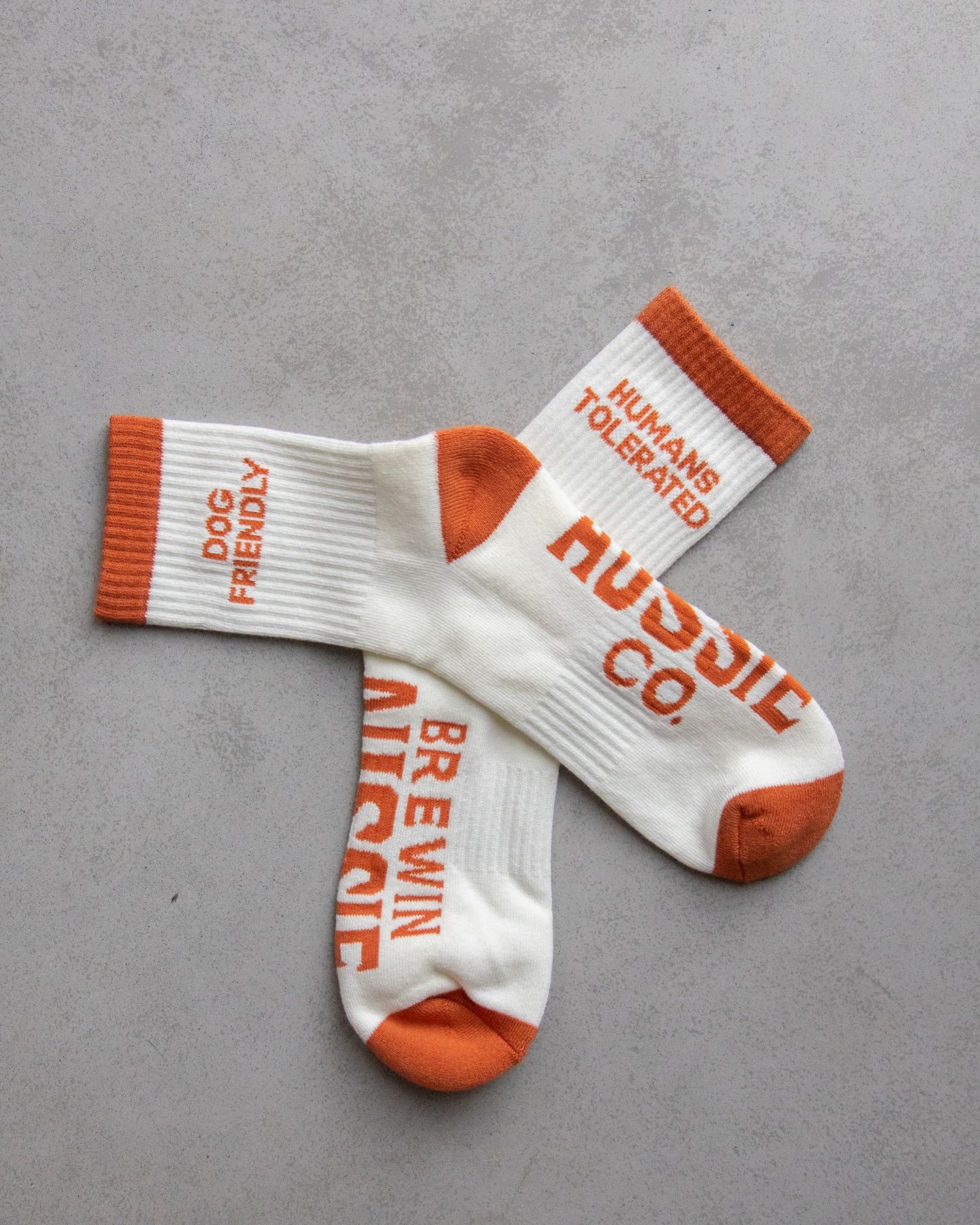 Instagram post: Witty human-versus-dog sock copy
