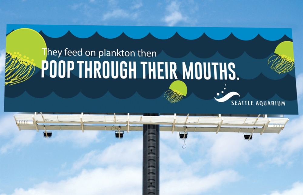Banner: Witty plankton fact billboard for aquarium