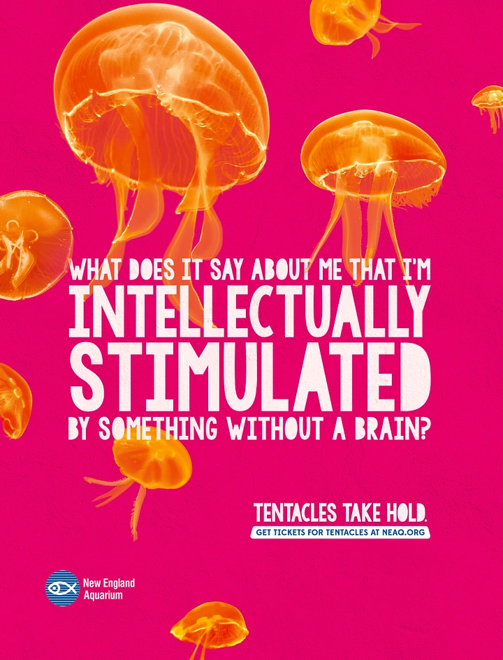 Aquarium Shops creative ad: Glowing orange jellyfish on hot pink
