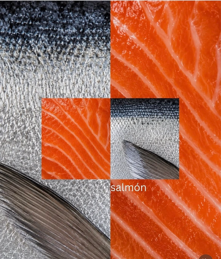 Seafood Restaurants creative ad: Salmon becomes a textured editorial collage