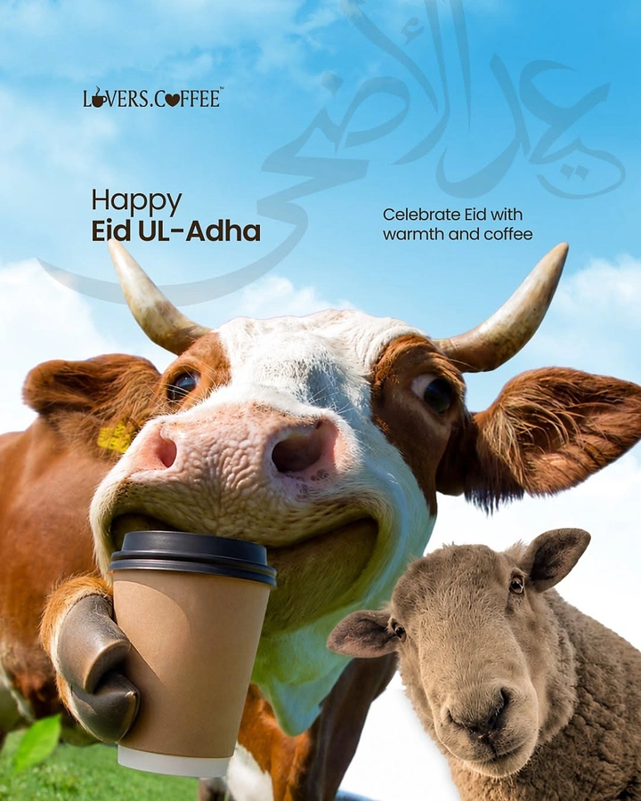 Eid creative ad: Close-up cow holding a takeaway coffee cup beside a sheep