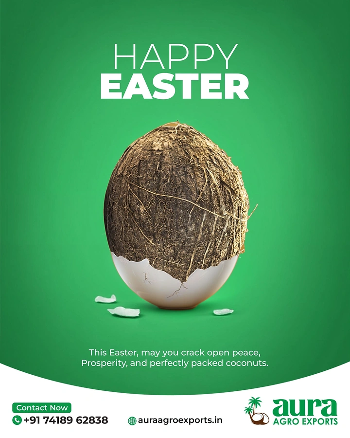 Easter creative ad: Whole husked coconut emerging from a cracked white eggshell