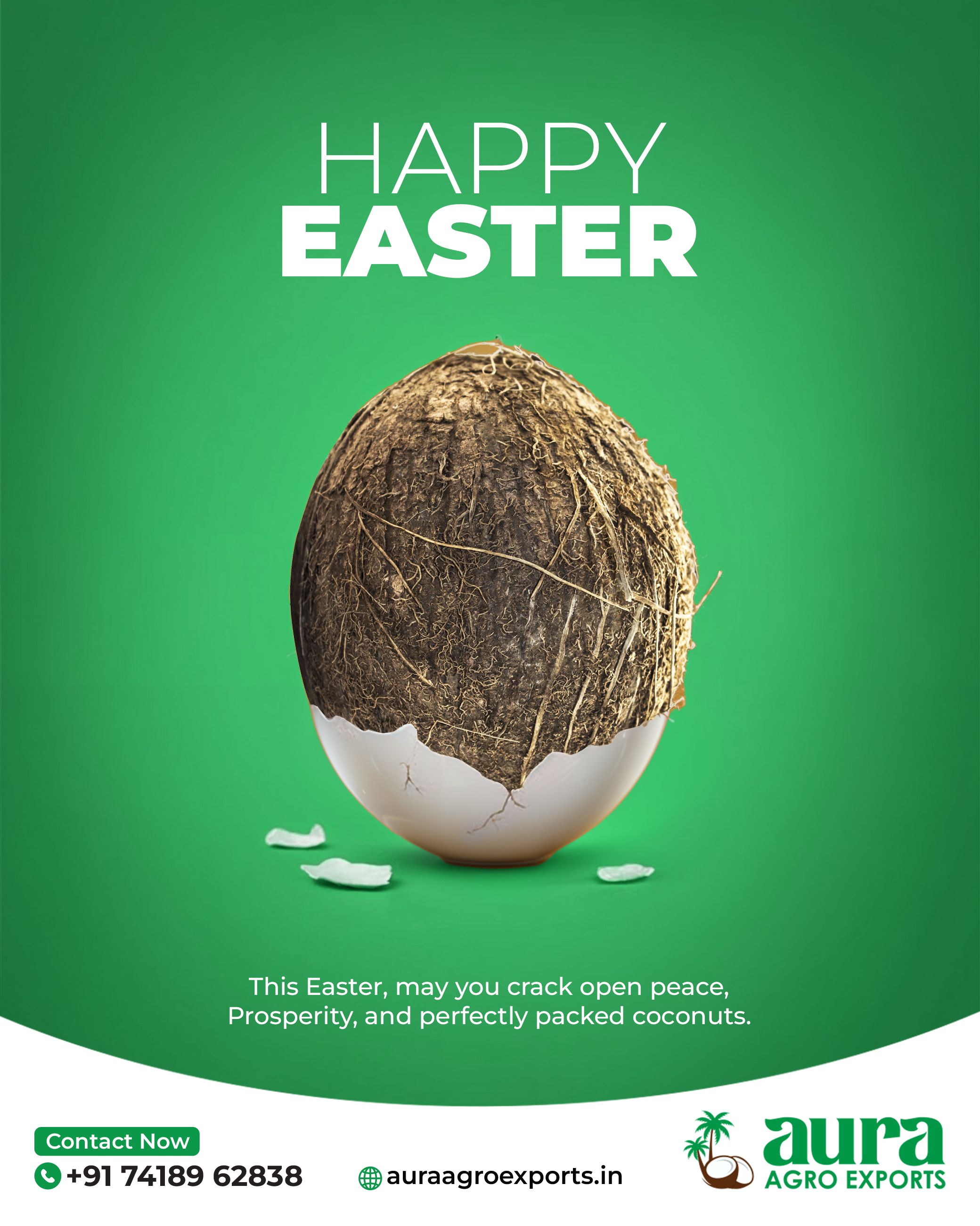 Easter Instagram post: Whole husked coconut emerging from a cracked white eggshell