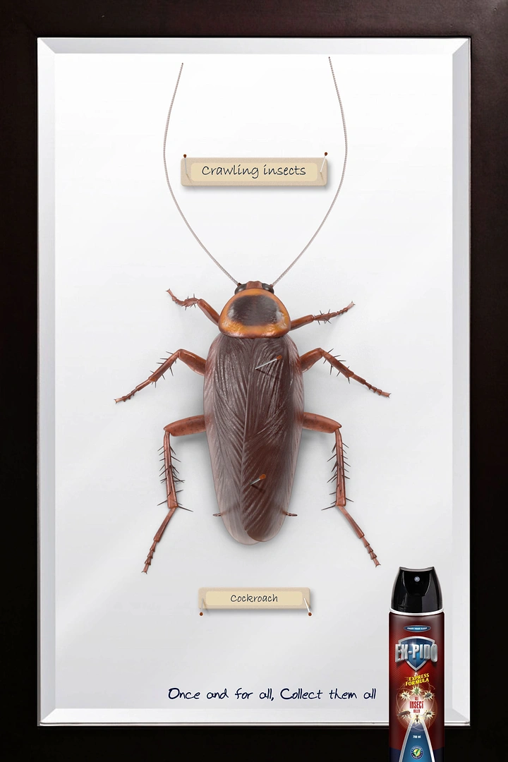 Pest Control creative ad: Cockroach pinned like a museum specimen in a framed display case