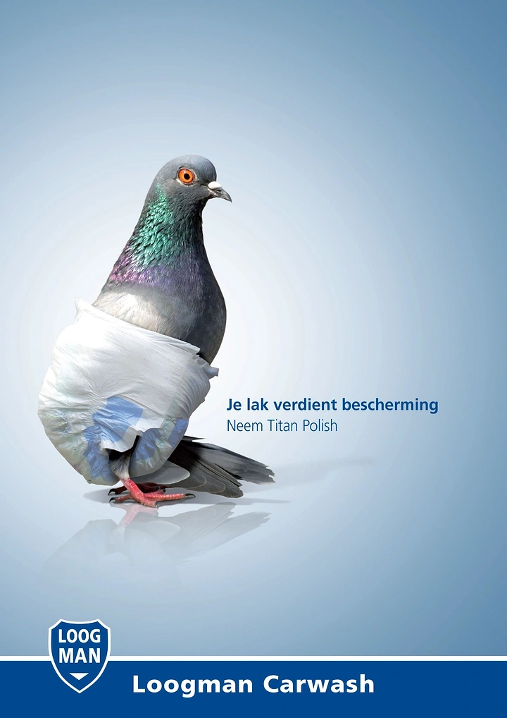 Car Wash & Detailing creative ad: Diapered pigeon: paint-protection visual pun