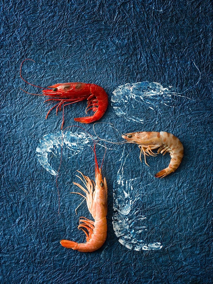 Seafood Restaurants creative ad: Prawns paired with illustrated ice silhouettes