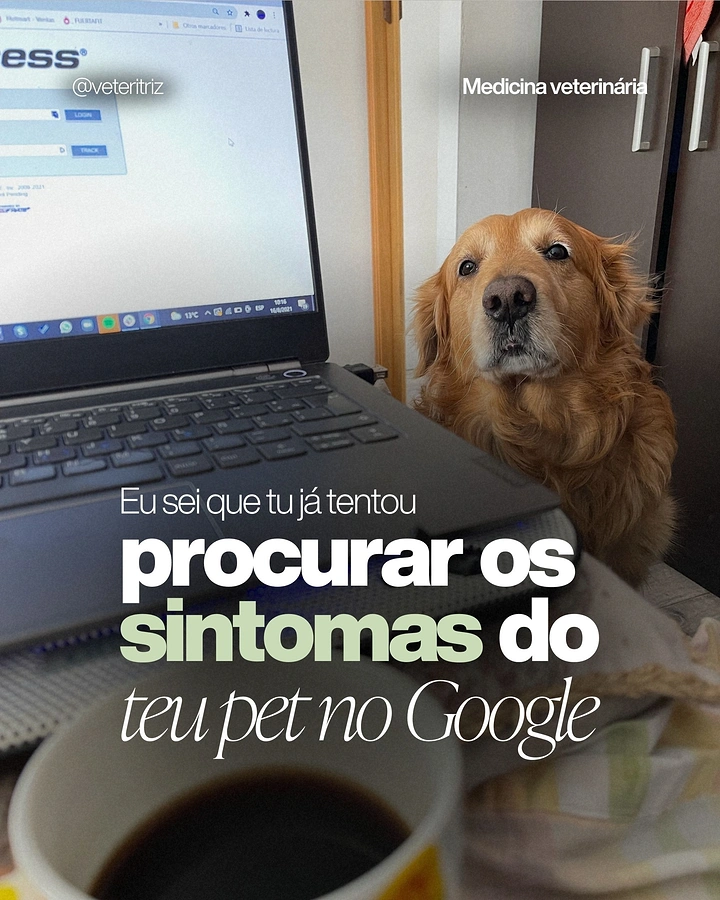 Veterinary Clinics creative ad: Golden retriever peeking beside a laptop on a home desk