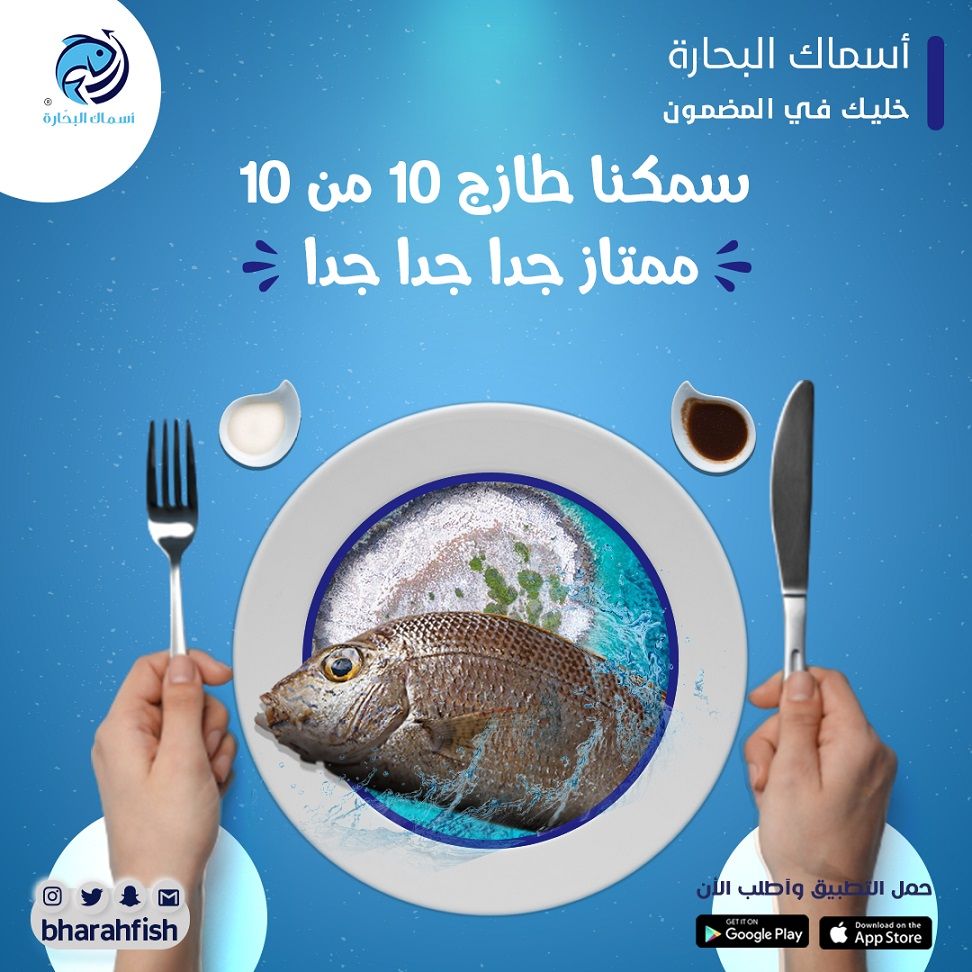 Instagram post: Fish presented as an ocean-world plate