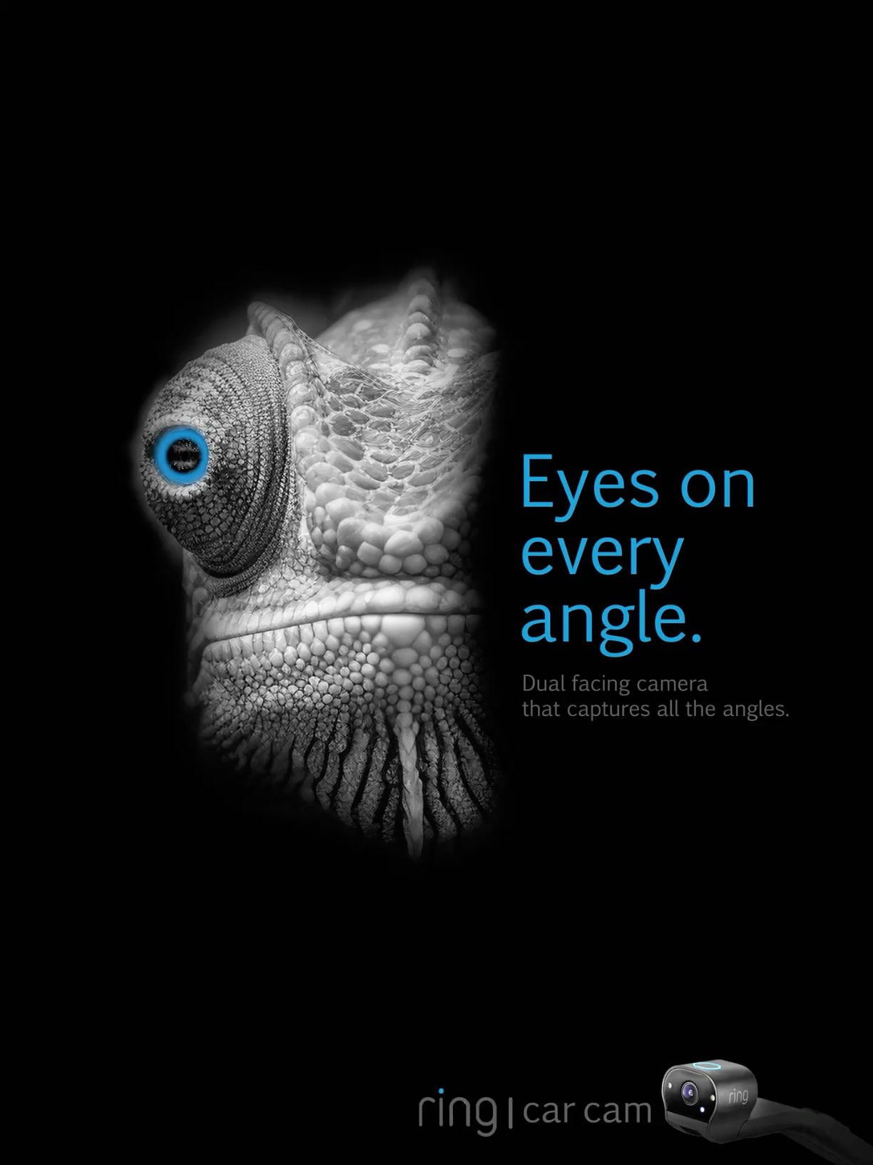 Poster: Monochrome chameleon head with a glowing blue eye